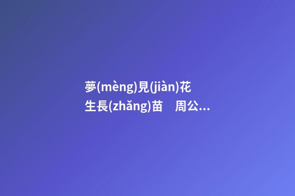 夢(mèng)見(jiàn)花生長(zhǎng)苗　周公解夢(mèng)之夢(mèng)到花生長(zhǎng)苗